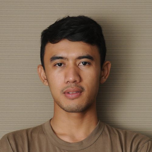 Fikri Adin